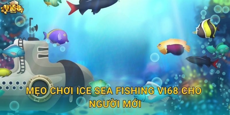 Mẹo chơi Ice Sea Fishing Vi68 cho người mới