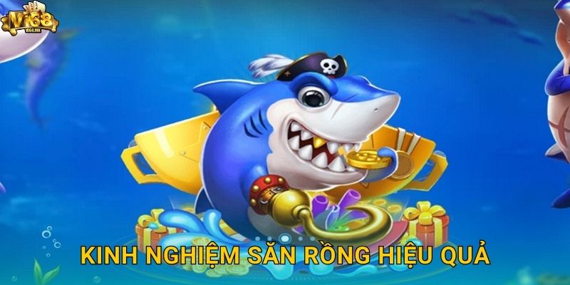 Kinh nghiệm săn rồng hiệu quả